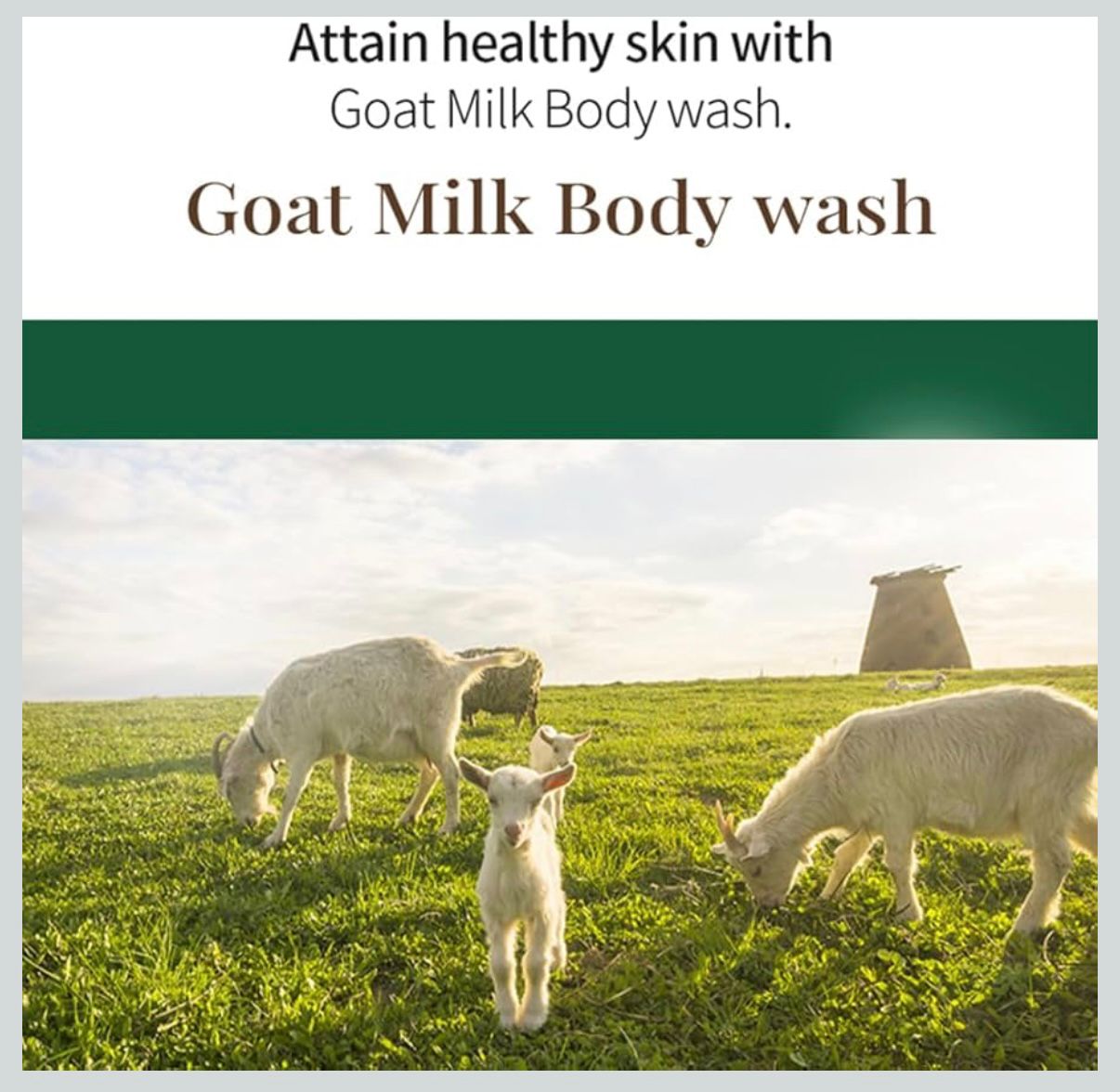 SHOWERMATE Goat Milk Body Wash Manuka Honey 27 fl oz / 800 ml (1 Pack)